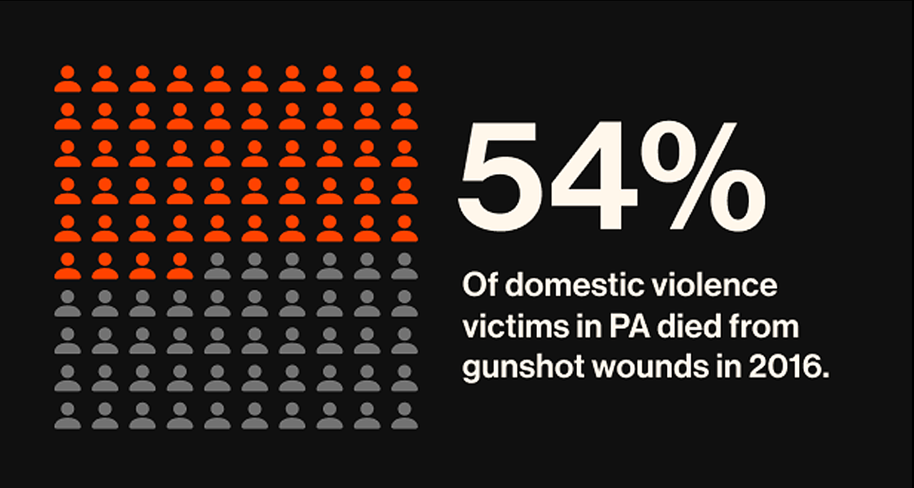 54% of domestic violence victims die from gunshot wounds in 2016