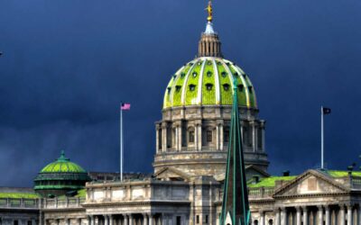 CeaseFirePA Action & Squirrel Hill Stands Against Gun Violence Endorse Two Gun Safety Champions for PA House of Reps